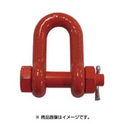 TS1.7T [スーパーアロイシャックル TS-1.7t]