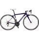 WR GLOSS VIOLET 380 17LG-TPW5