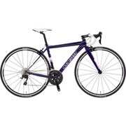 WR GLOSS VIOLET 380 17LG-TPW5