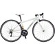 WSR GLOSS LG WHITE 500 17LG-TPW20