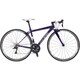WSR GLOSS VIOLET 380 17LG-TPW21