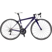 WSR GLOSS VIOLET 420 17LG-TPW22