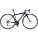 WSR GLOSS VIOLET 460 17LG-TPW23