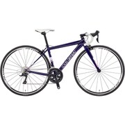 WSR GLOSS VIOLET 500 17LG-TPW24