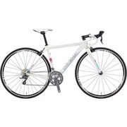 WCR GLOSS LG WHITE 500 17LG-TPW28