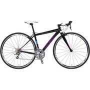 WCR GLOSS LG BLACK 500 17LG-TPW32