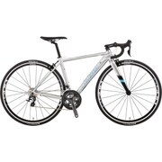 CTR MATT SILVER 500 17LG-UCC19