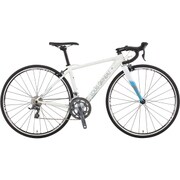 CLR MATT LG WHITE 500 17LG-UCC34