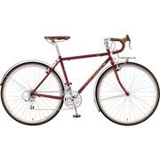 CT GLOSS AZUKI 460 17LG-UCC102