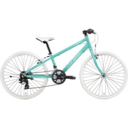 CHASSE24 MATT EMERALD GREEN 300 17LG-UCC189