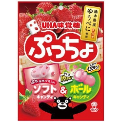 ❤えいたん様❤ゆうべにイチゴ いちご | あしきたブランド | JAあしきた
