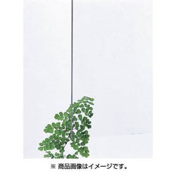 ヨドバシ.com - 光 HIKARI AC00334 [アクリルキャスト板 透明 3×300×450 穴無し] 通販【全品無料配達】