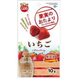 果実のおたより いちご 10g [小動物用フード・おやつ]