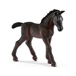 13820 [リピツァーナ馬(仔) Horse Club]