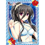 ねくねっと ガールズスリーブコレクション Vol.066 G線上の魔王 宇佐美ハル B [トレーディングカード用品]