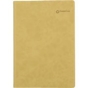 B6ビジョナリー・ウーマン 2017年4月 イエロー 63485