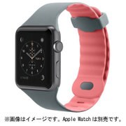 F8W730BTC01 [Sports Band for Apple Watch 42mm用 カーネーション]