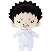 にとたん ハイキュー！！ おおきいぬいぐるみ 岩泉 [ぬいぐるみ]