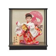 お祝いケース このみ 5号 [雛人形]