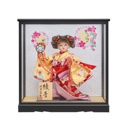 お祝いケース 綾音 8号 [雛人形]