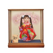 お祝いケース 新おでかけ彩 8号 [雛人形]