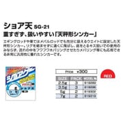 SG-21 ショア天 2.5g [シンカー・オモリ 磯・堤防釣り用]