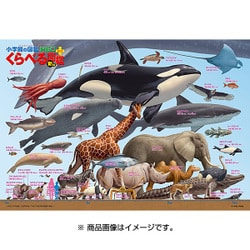 ヨドバシ.com - ビバリー BEVERLY L74-152 [ジグソーパズル