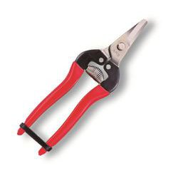 採果鋏 デラックス 箱入り 310DX