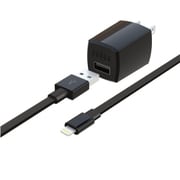 Lightning ACアダプター1.0A 分離型 ブラック AL-ADS10K