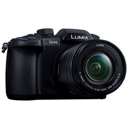 ヨドバシ.com - パナソニック Panasonic DC-GH5M-K [LUMIX(ルミックス