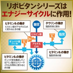 リポビタンDスーパー 50本入り 使用期限2026年10月 リポビタンDスーパー 50本入り 使用期限2026年10月