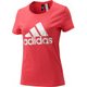 DLO70-BR1368-J/M [W ビッグロゴ半袖Tシャツ Mサイズ]