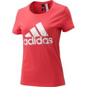 DLO70-BR1368-J/L [W ビッグロゴ半袖Tシャツ Lサイズ]