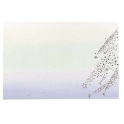 箔6丁合対封筒 星 D05203