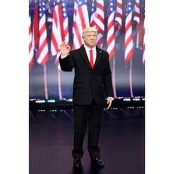 ヨドバシ.com - DID 第45代アメリカ大統領 ドナルド・トランプ 通販 