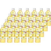 贅沢香茶 ジャスミンティー 500ml×24本