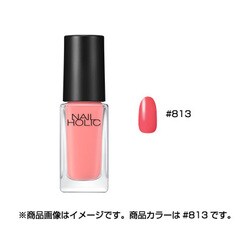 ヨドバシ Com コスメニエンス ネイルホリック Pinkish Color Pk813 5ml ネイルカラー 通販 全品無料配達