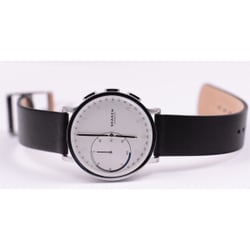 skagen skt1101