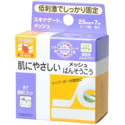 SGM257 [ニチバン スキナゲート メッシュ 25mm×7m]