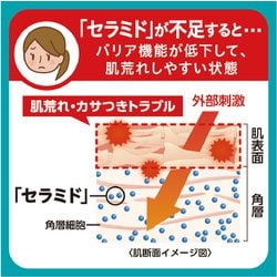 ヨドバシ.com - キュレル Curel キュレル 潤浸保湿 ミニセット II 