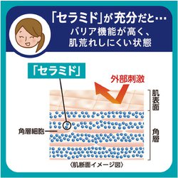 ヨドバシ.com - キュレル Curel キュレル 潤浸保湿 ミニセット II 