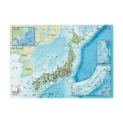 下敷き 日本 PSMJ