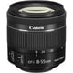 EF-S 18-55mm F4-5.6 IS STM [ズームレンズ EF-Sマウント]