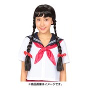 カツランド みつあみおさげちゃん [パーティグッズ]