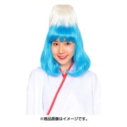 カツランド 日本の山 [パーティグッズ]