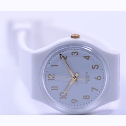 お得品腕時計 新品 WHITE スウォッチ GW164 GENT BISHOP ジェント ホワイト・ビショップ 未使用品 正規輸入品 ホワイト その他