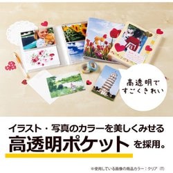 ヨドバシ.com - セキセイ パックン ポストカードホルダー 高透明 ヨドバシ.com - セキセイ パックン ポストカードホルダー 高透明