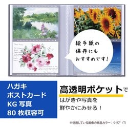 ヨドバシ.com - セキセイ パックン ポストカードホルダー 高透明