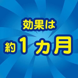 ヨドバシ.com - 金鳥 KINCHO コバエがポットン 置くタイプ 2個入 通販