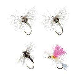 ダイワ テンカラキット 36 (ロッド・釣竿) 価格比較 - 価格.com